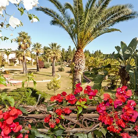 Classical Baia Delle Palme 2 Bedroom Sleeps 6 Persons T6